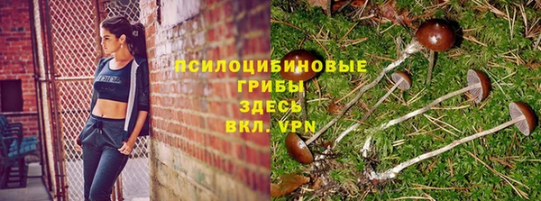 ГАЛЛЮЦИНОГЕННЫЕ ГРИБЫ Верхнеуральск